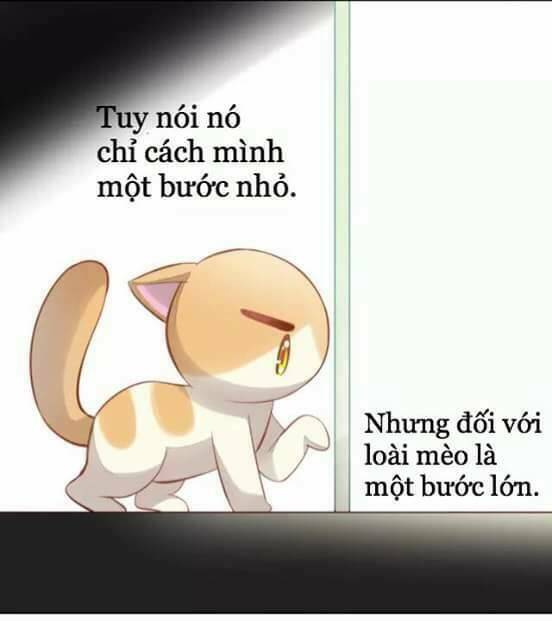 Dưới Móng Vuốt Mèo: Chapter 7