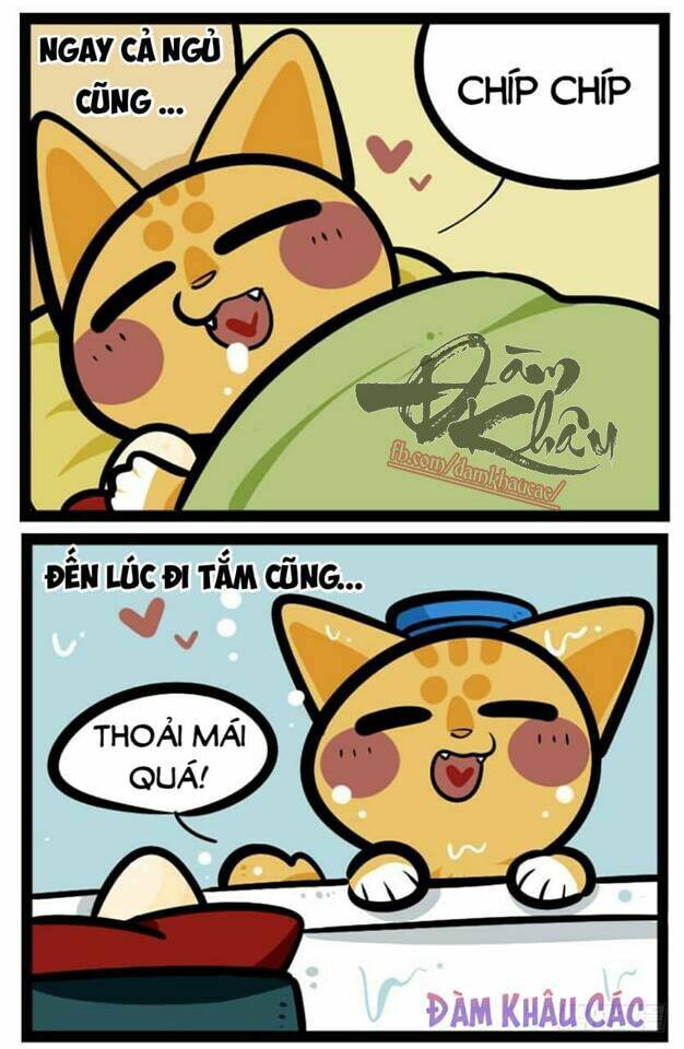 Đời Không Như Mình Tưởng: Chapter 41