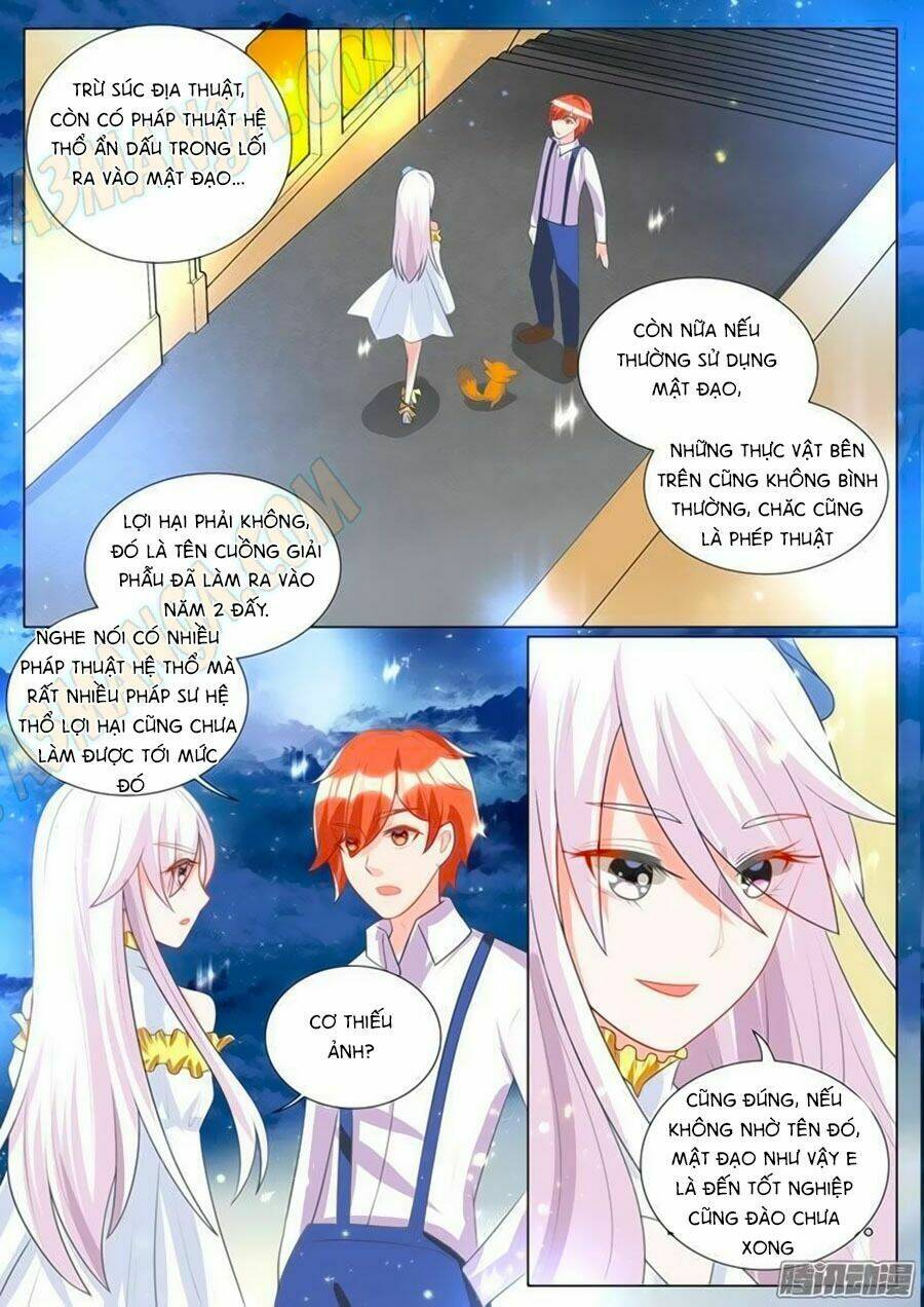 Chước Chước Lưu Ly Hạ: Chapter 105