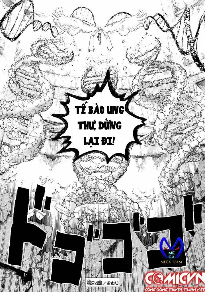 Hataraku Saibou!: Chapter 24