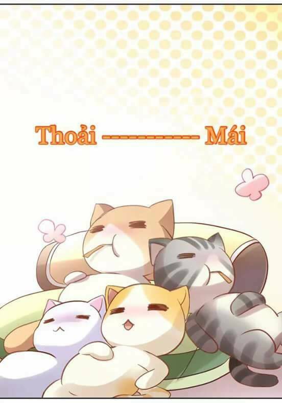 Dưới Móng Vuốt Mèo: Chapter 6