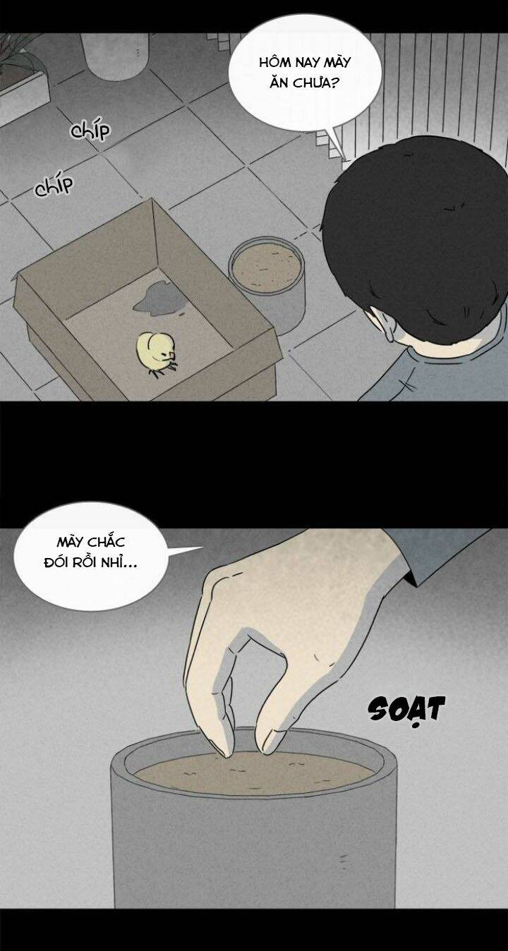 Những Câu Chuyện Bất Thường: Chapter 241