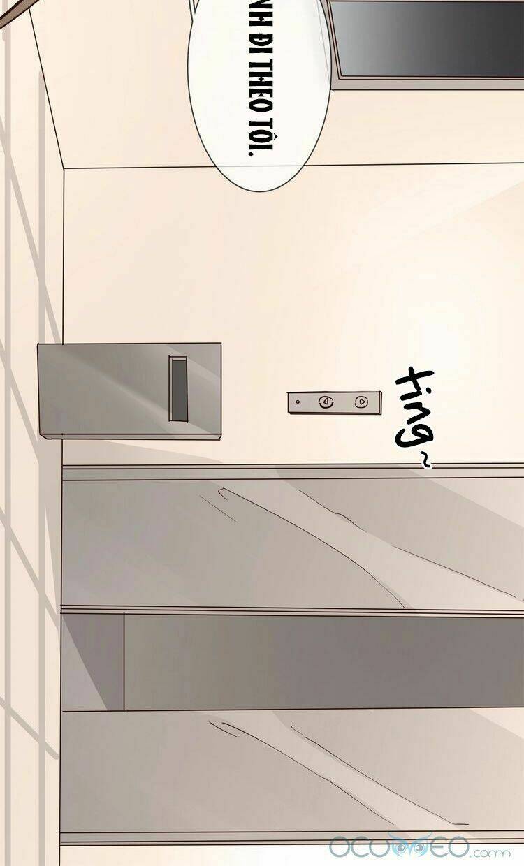 Ngôi Sao Vụn Vỡ: Chapter 18