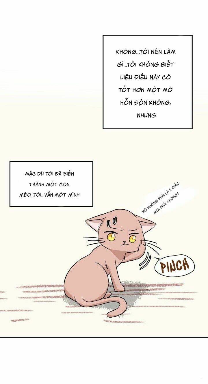 Một Cuộc Sống Kỳ Lạ: Chapter 1