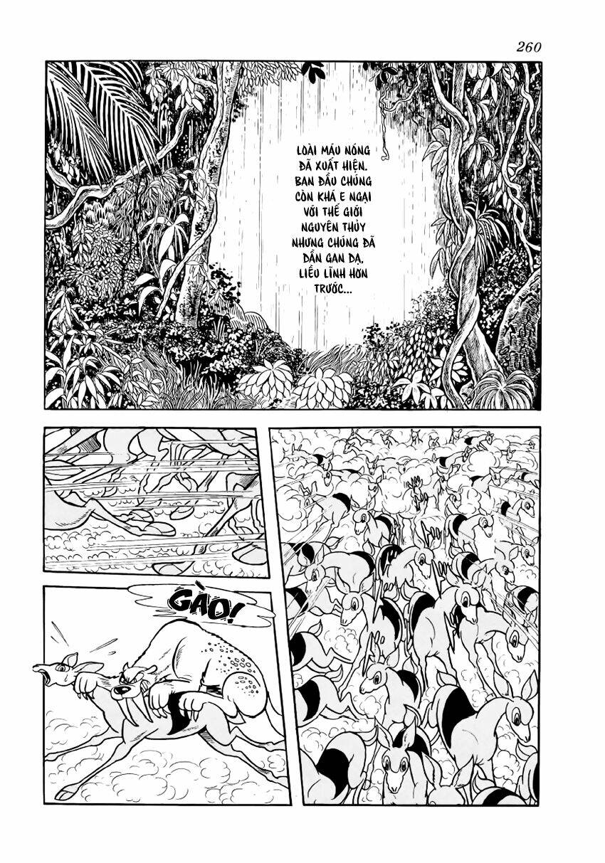 Chim Lửa: Chapter 29