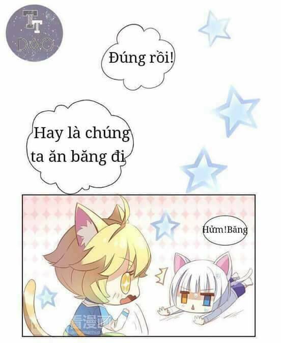 Dưới Móng Vuốt Mèo: Chapter 3