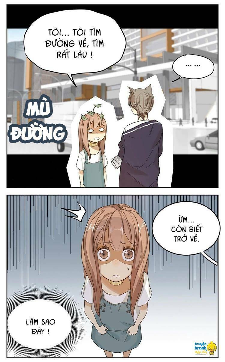 Cứu Mạng! Loài Mèo Thống Trị Thế Giới Rồi!: Chapter 12