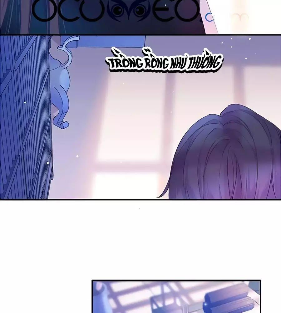 Kiều Nhi Hư Quá Nha: Chapter 8