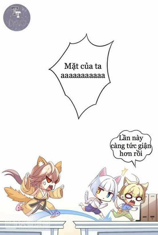 Dưới Móng Vuốt Mèo: Chapter 1