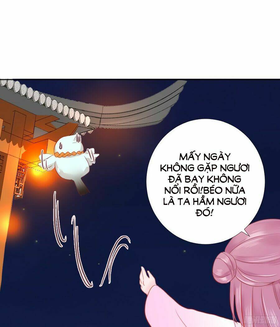 Đường Hoa Nhất Mộng Cổ Phi Truyện: Chapter 3