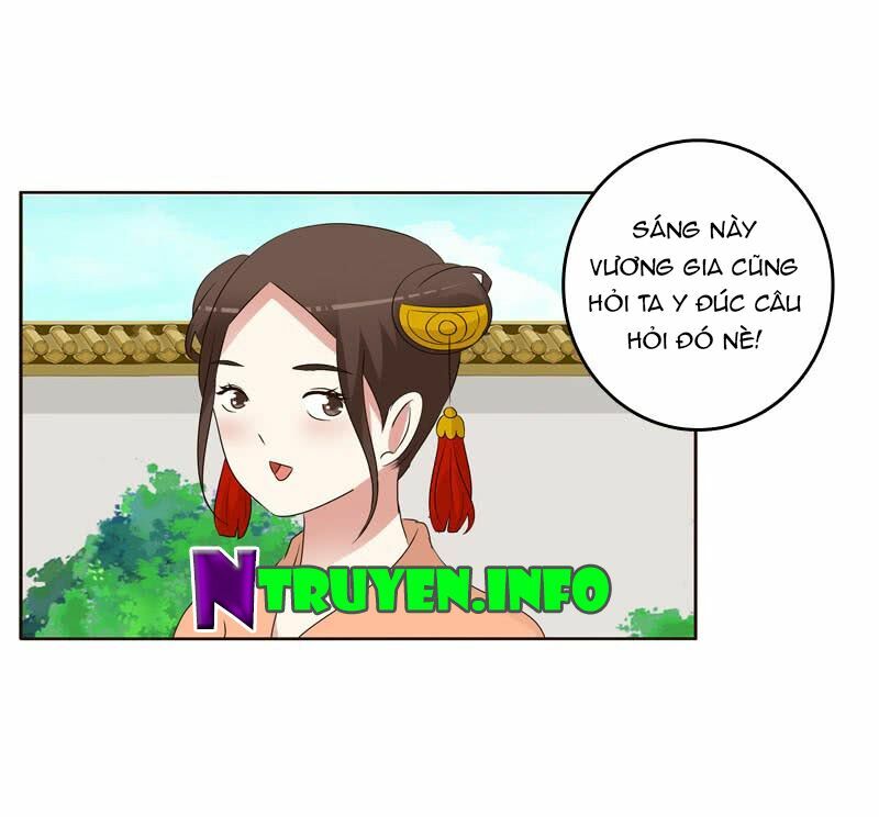 Thông Linh Phi: Chapter 204