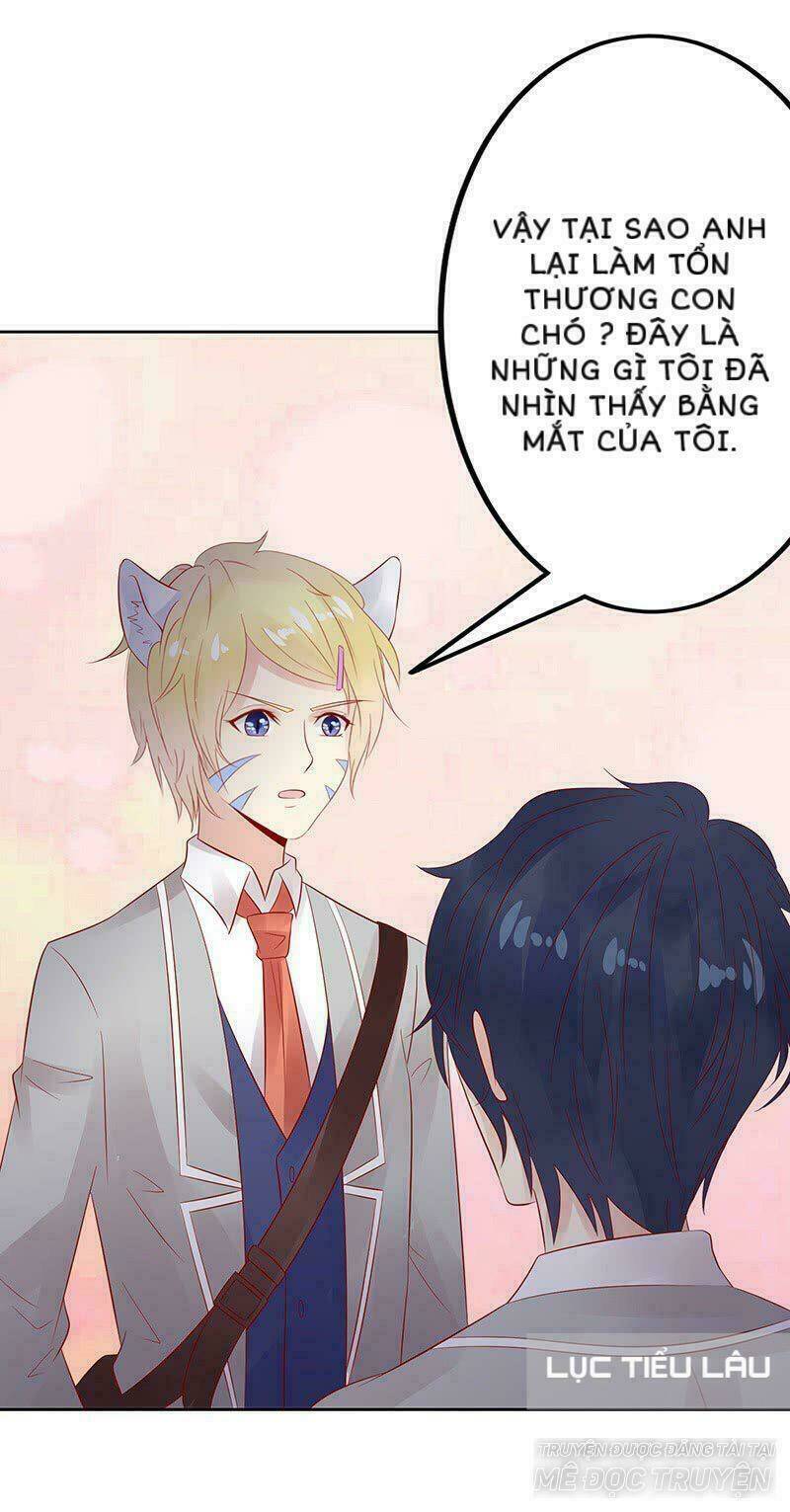 Băng Sơn Học Trưởng Không Được Chọc: Chapter 15