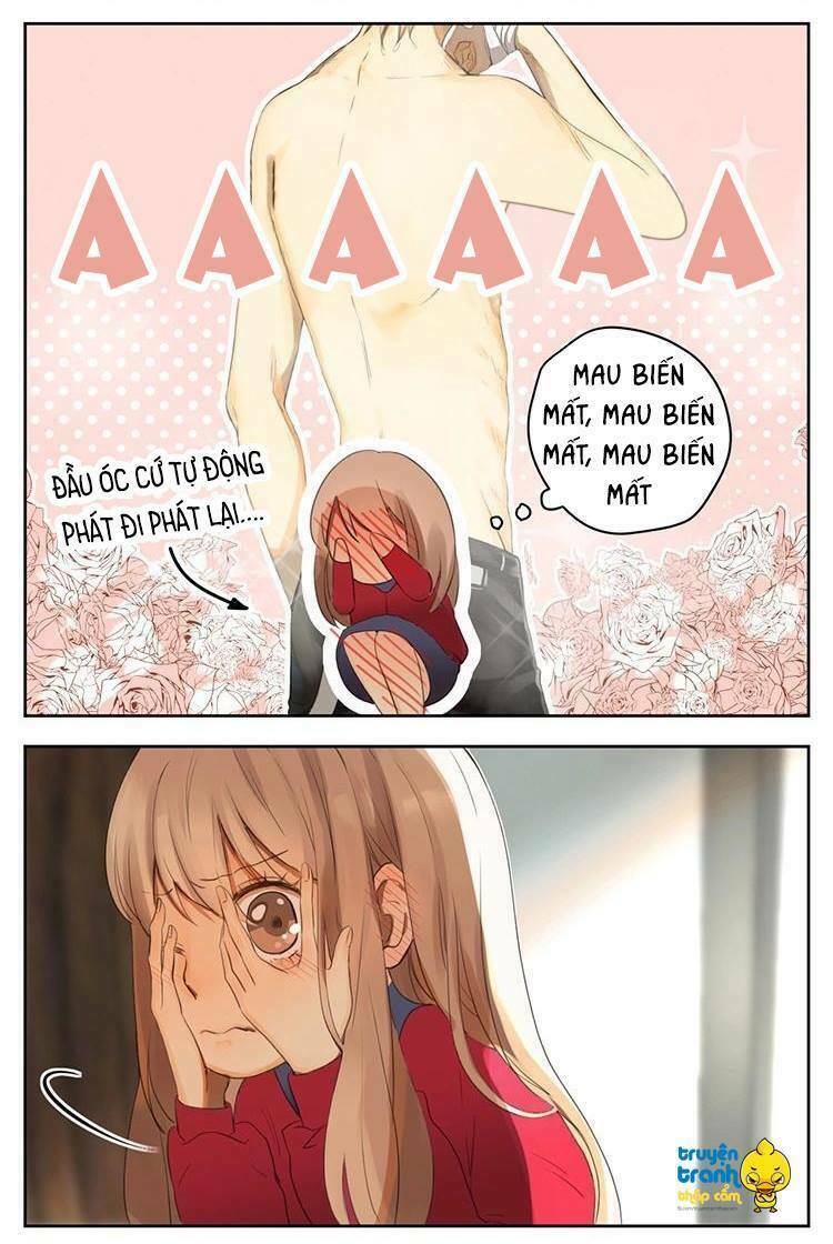 Cứu mạng ! Loài mèo thống trị thế giới rồi !: Chapter 30
