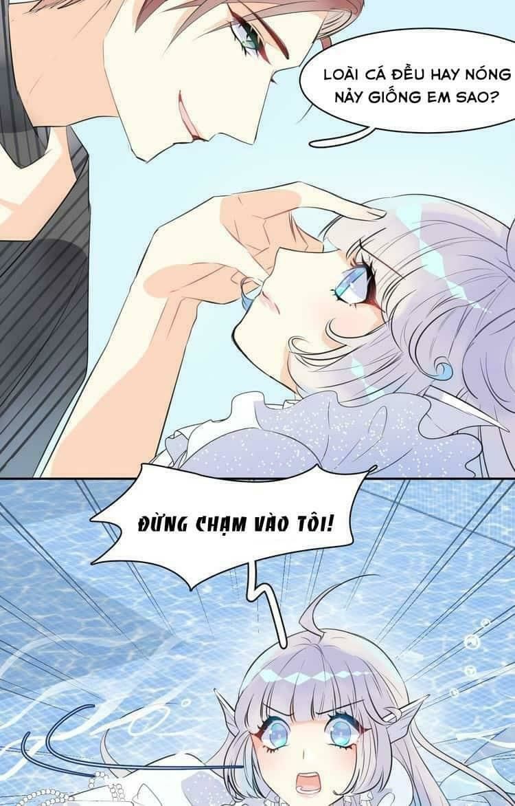 Bộ Váy Của Nhân Ngư: Chapter 6