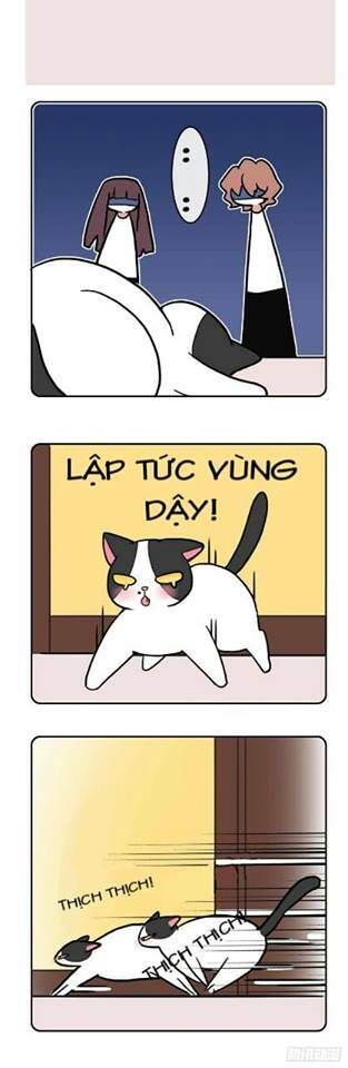 Hello Dư Tuyết Đặc: Chapter 2