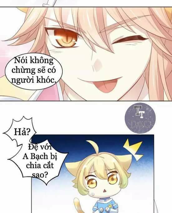 Dưới Móng Vuốt Mèo: Chapter 9