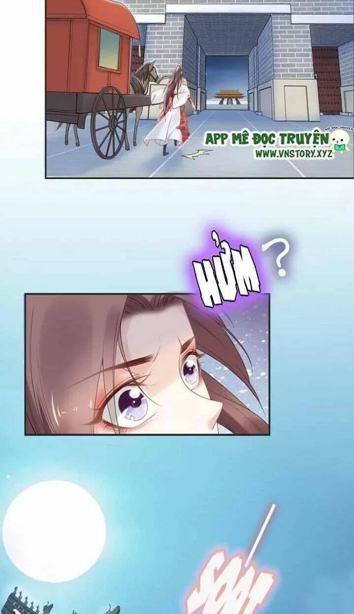 Nhất Sinh Nhất Thế Tiếu Thương Khung: Chapter 81