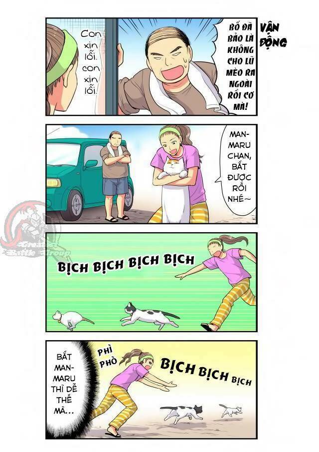 Cat is silver vine: Chapter 19