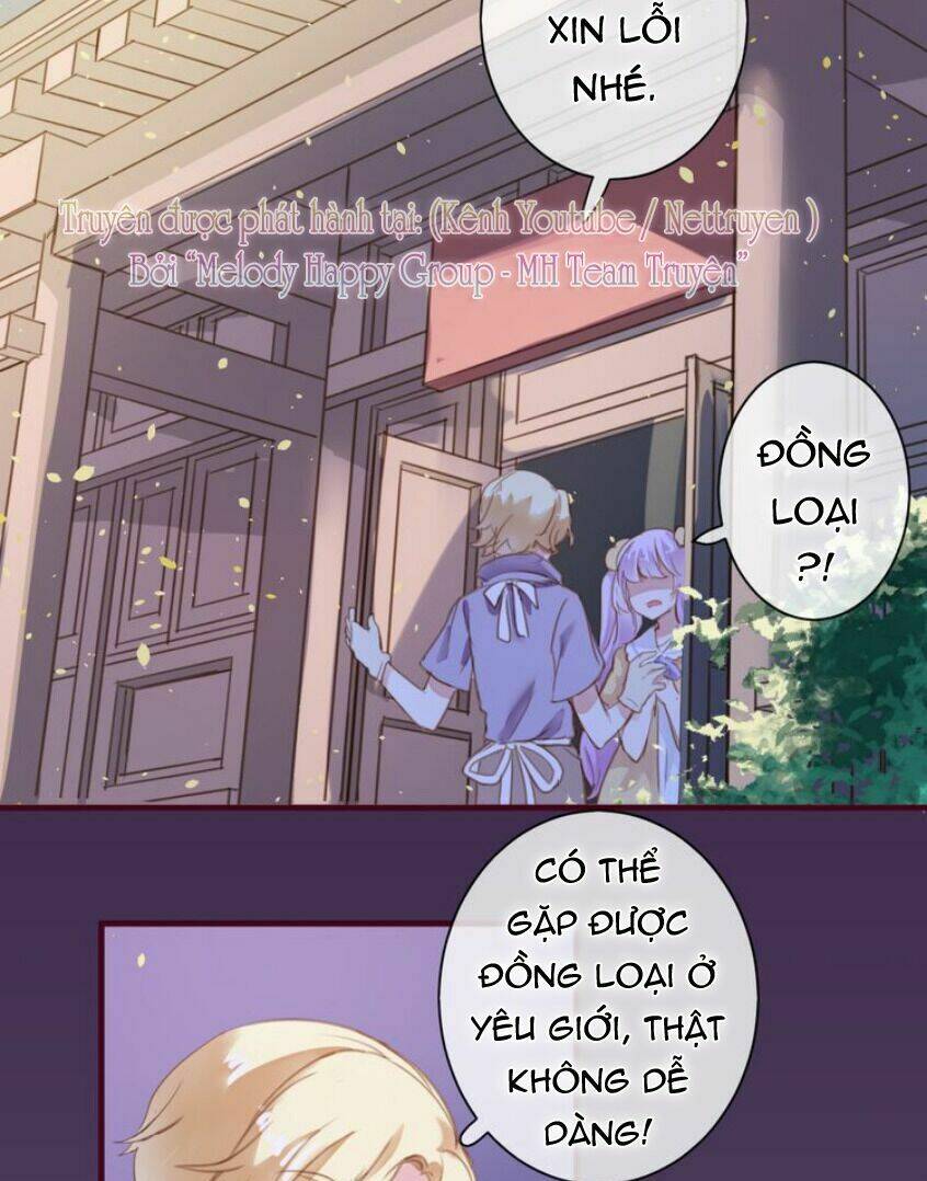 Mỹ Vị Hữu Không Phải Lỗi Của Tôi: Chapter 3