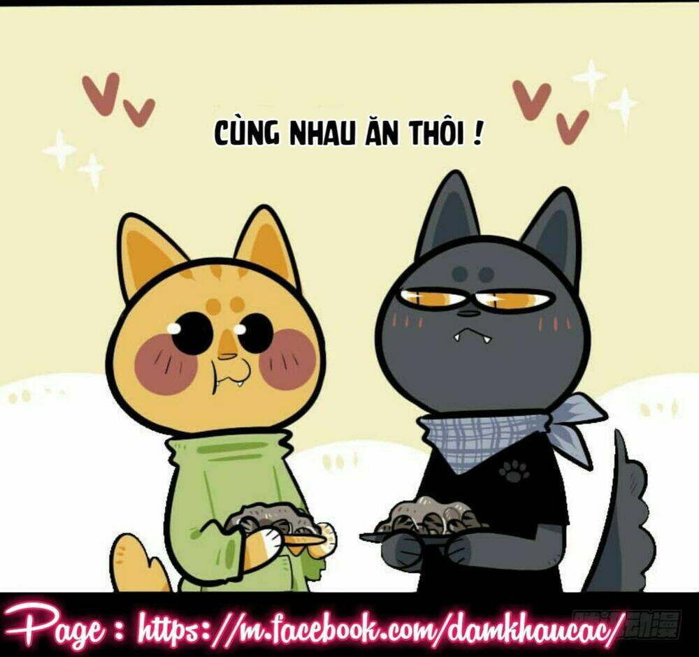 Đời Không Như Mình Tưởng: Chapter 8