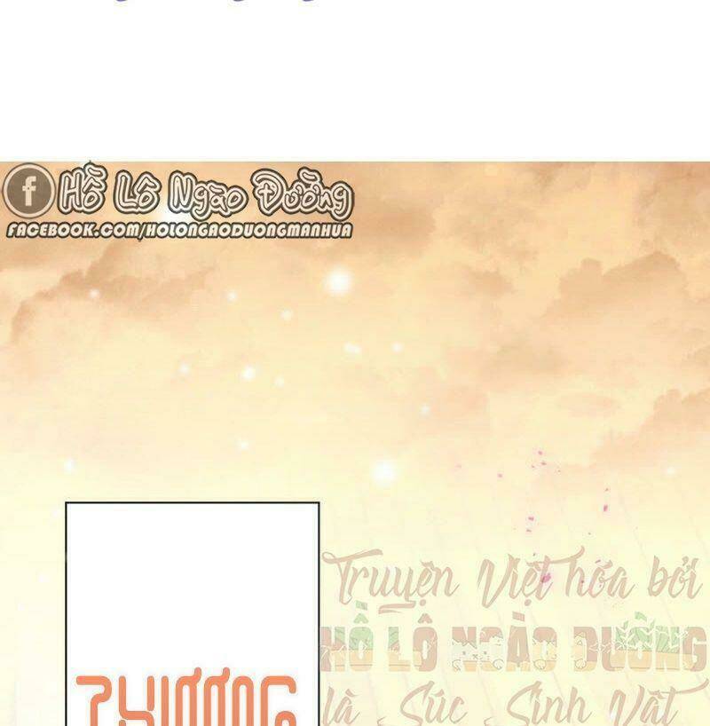 Quận Chúa Vững Vàng, Thiết Lập Nhân Vật Không Thể Vỡ: Chapter 29