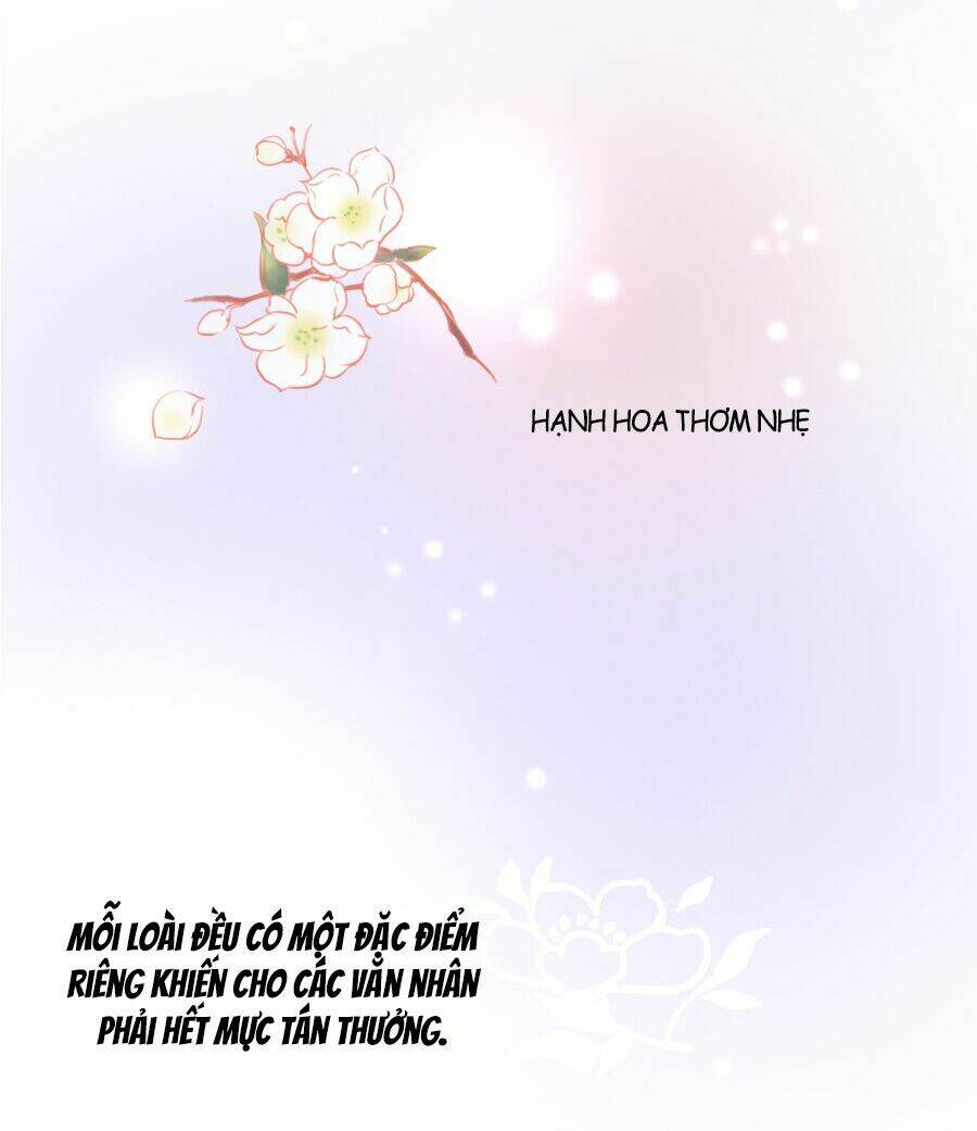 Đường Hoa Nhất Mộng Cổ Phi Truyện: Chapter 11