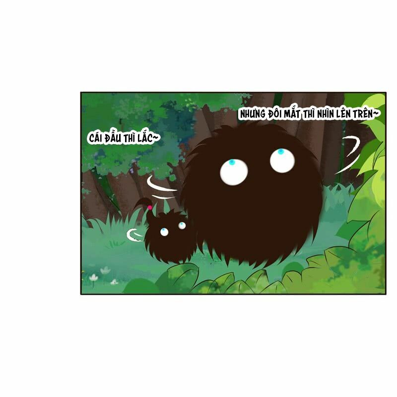 Thông Linh Phi: Chapter 196