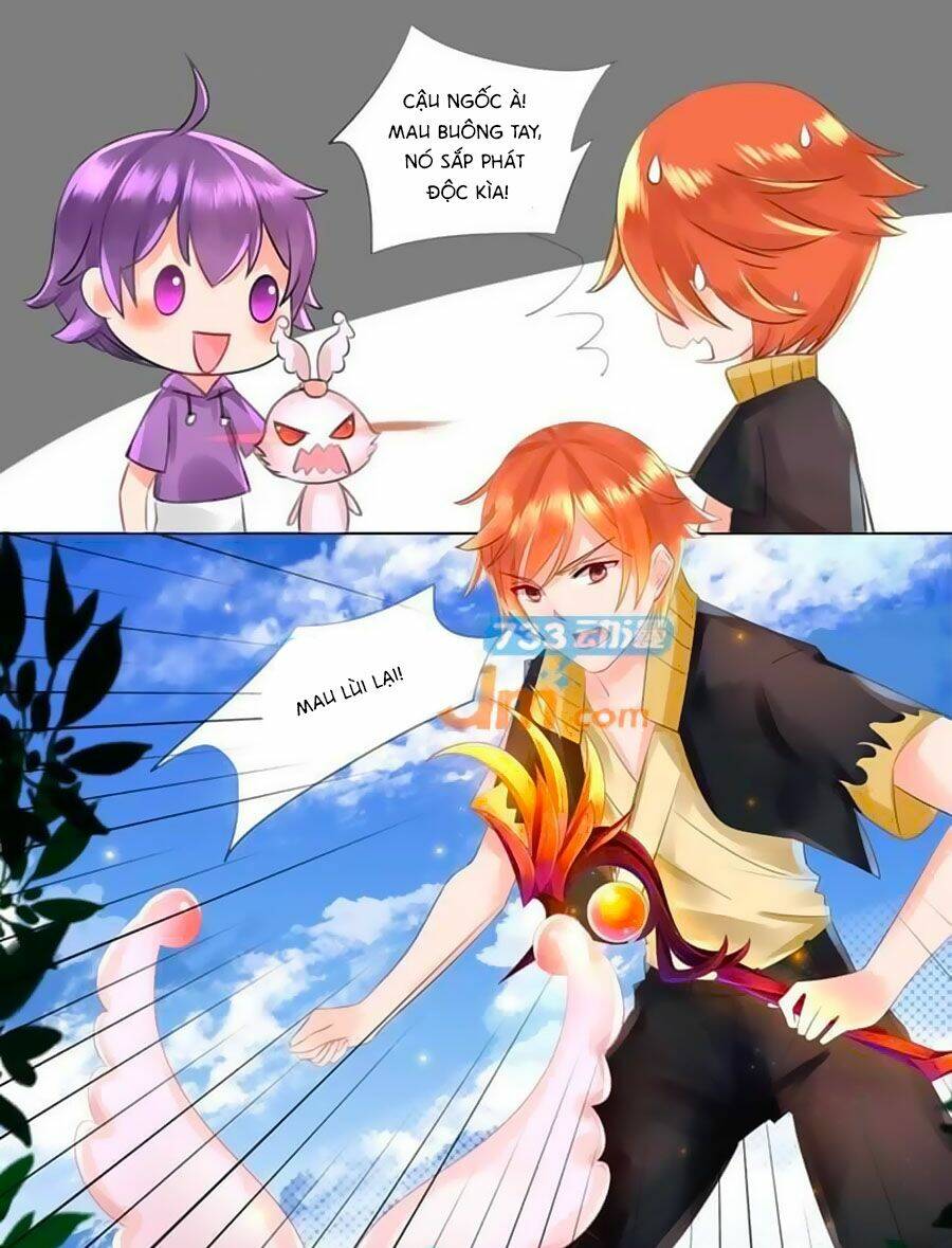 Chước Chước Lưu Ly Hạ: Chapter 62