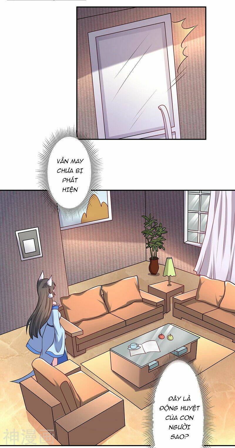 Quy Luật Năm Bản Mệnh Của Hồ Ly: Chapter 6