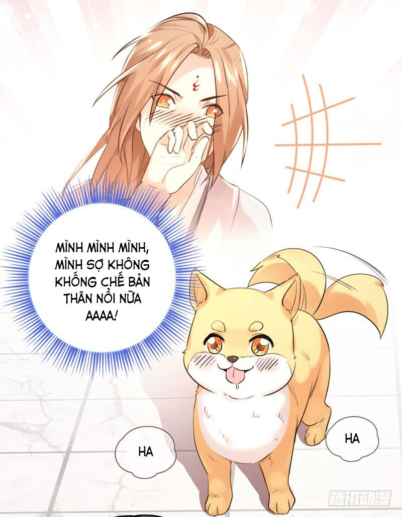 Lụ Đạn, Hôm Nay Lại Cũng Không Thể Biến Thành Người Được: Chapter 2