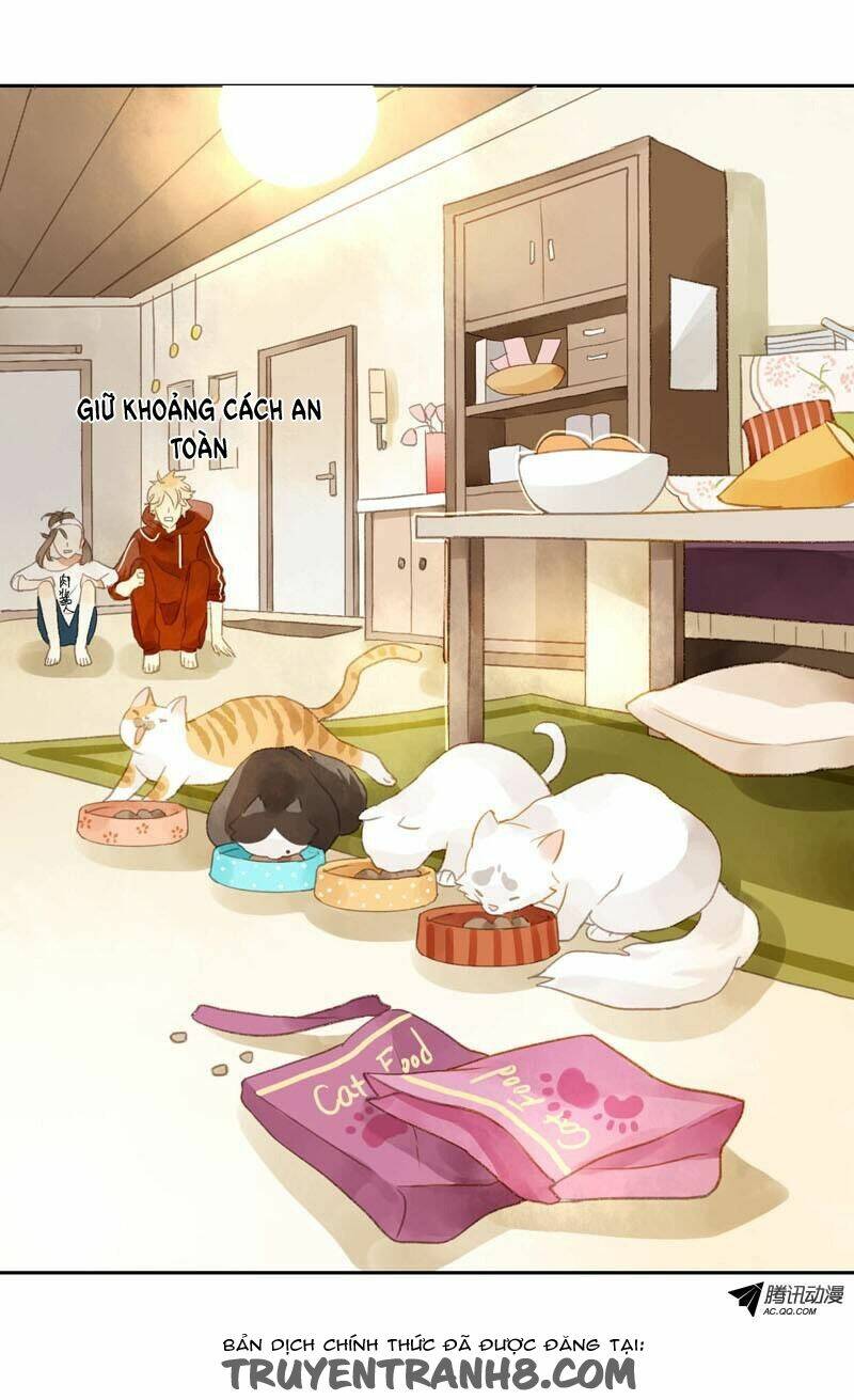 Sức Mạnh Của Sắc Đẹp: Chapter 12