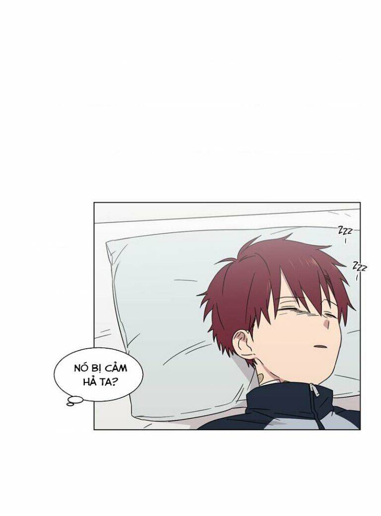 …”Một Sự Thật Khá Khó Chịu.”: Chapter 52