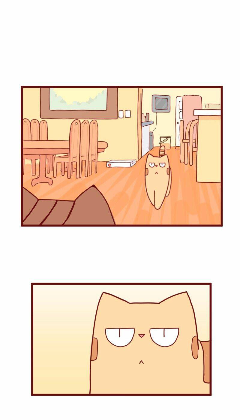 Saphie: Chú mèo một mắt: Chapter 10