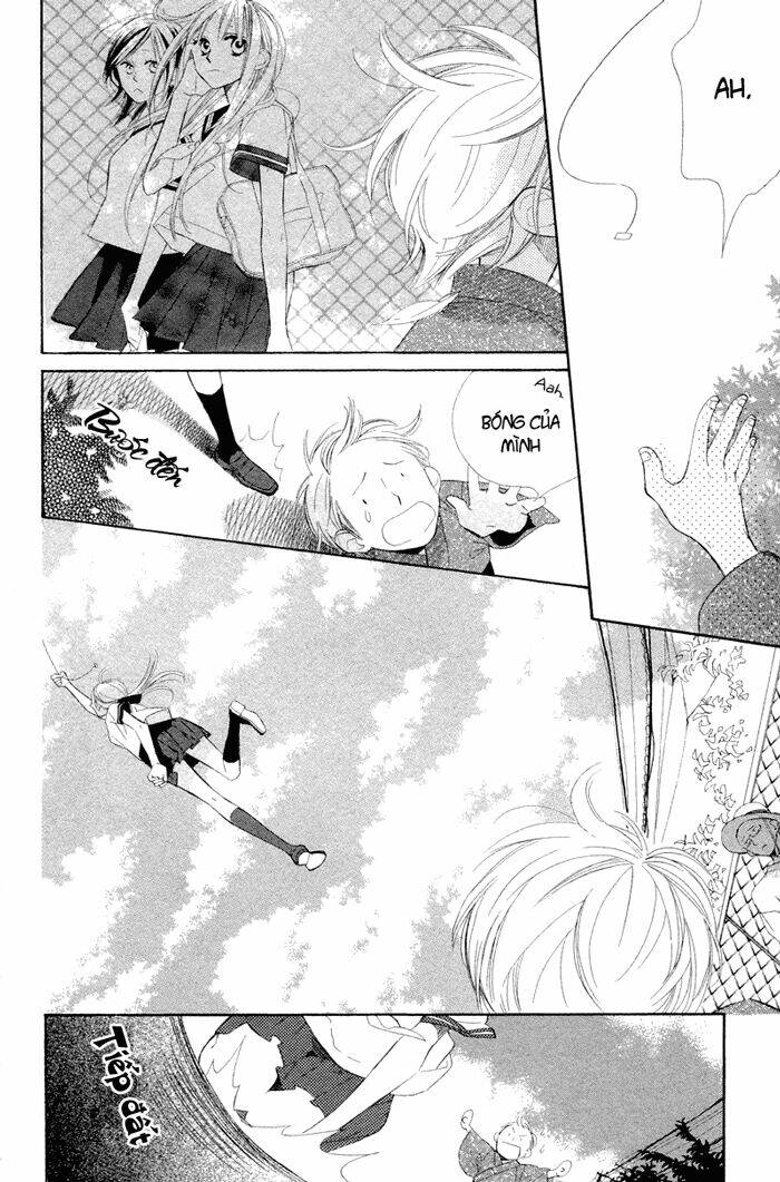 Hoa Trong Bão: Chapter 4