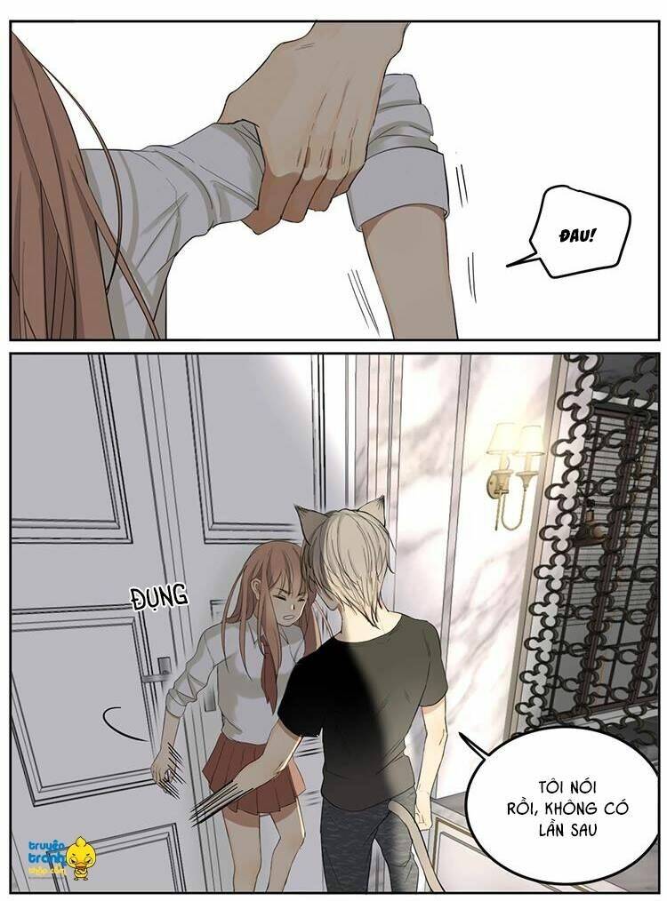 Cứu Mạng! Loài Mèo Thống Trị Thế Giới Rồi!: Chapter 7