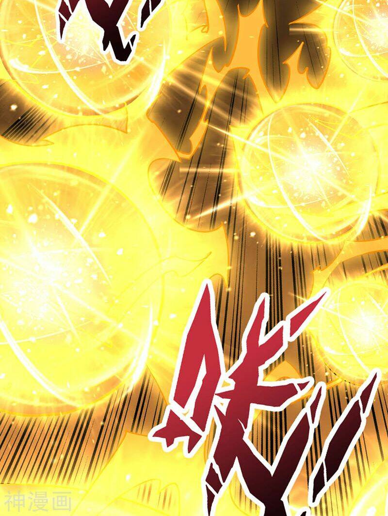 Phục Thiên Thánh Chủ: Chapter 80