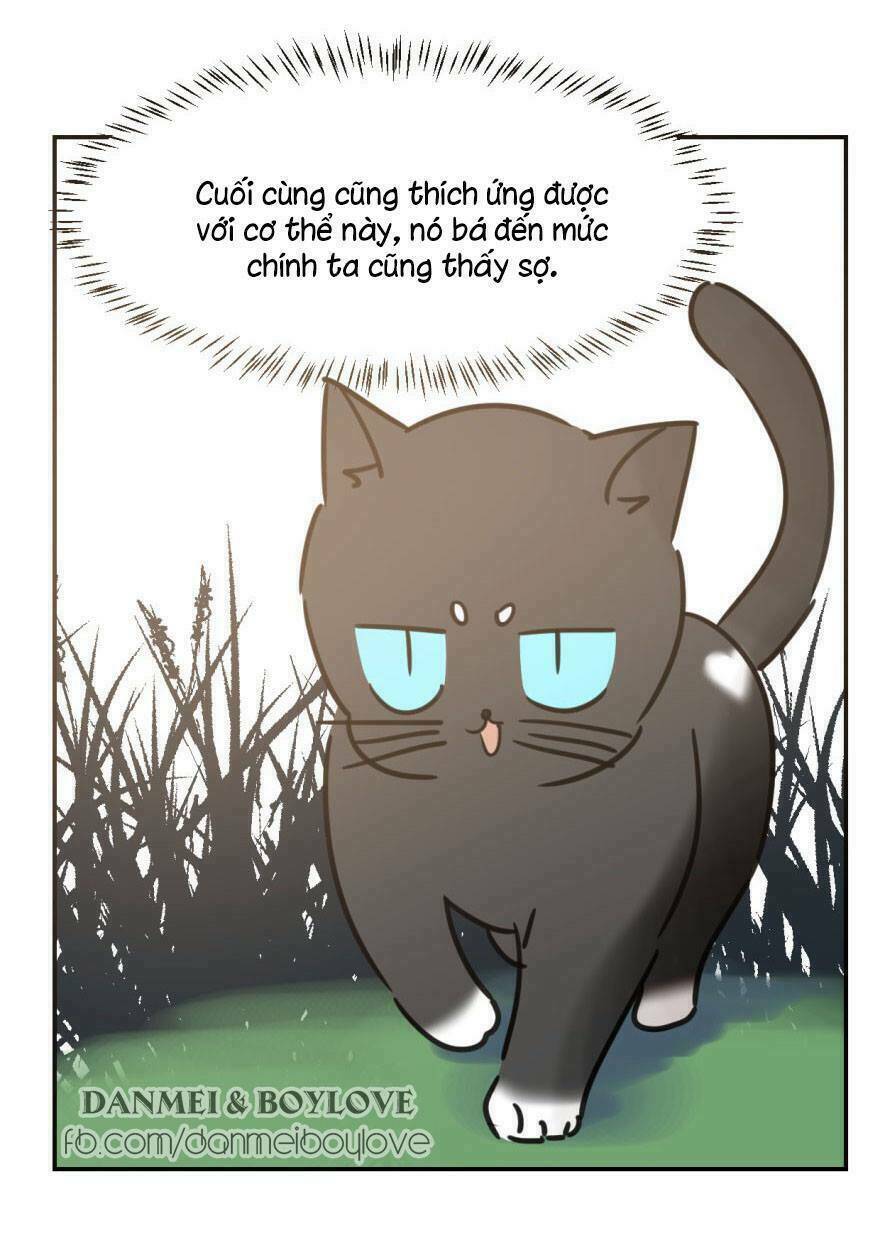 Truy Bắt Ngao Ngao: Chapter 25