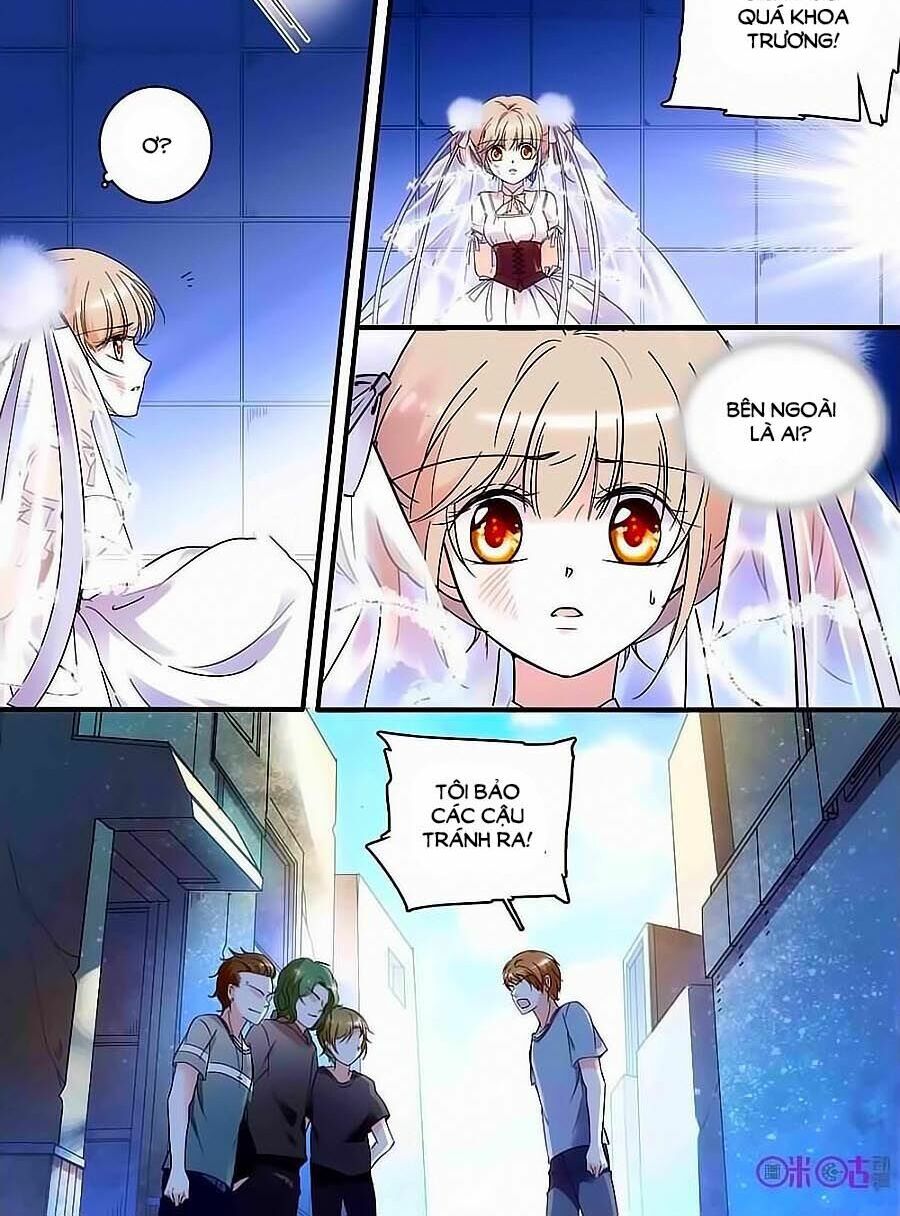 Thanh Ninh Chi Hạ: Chapter 107