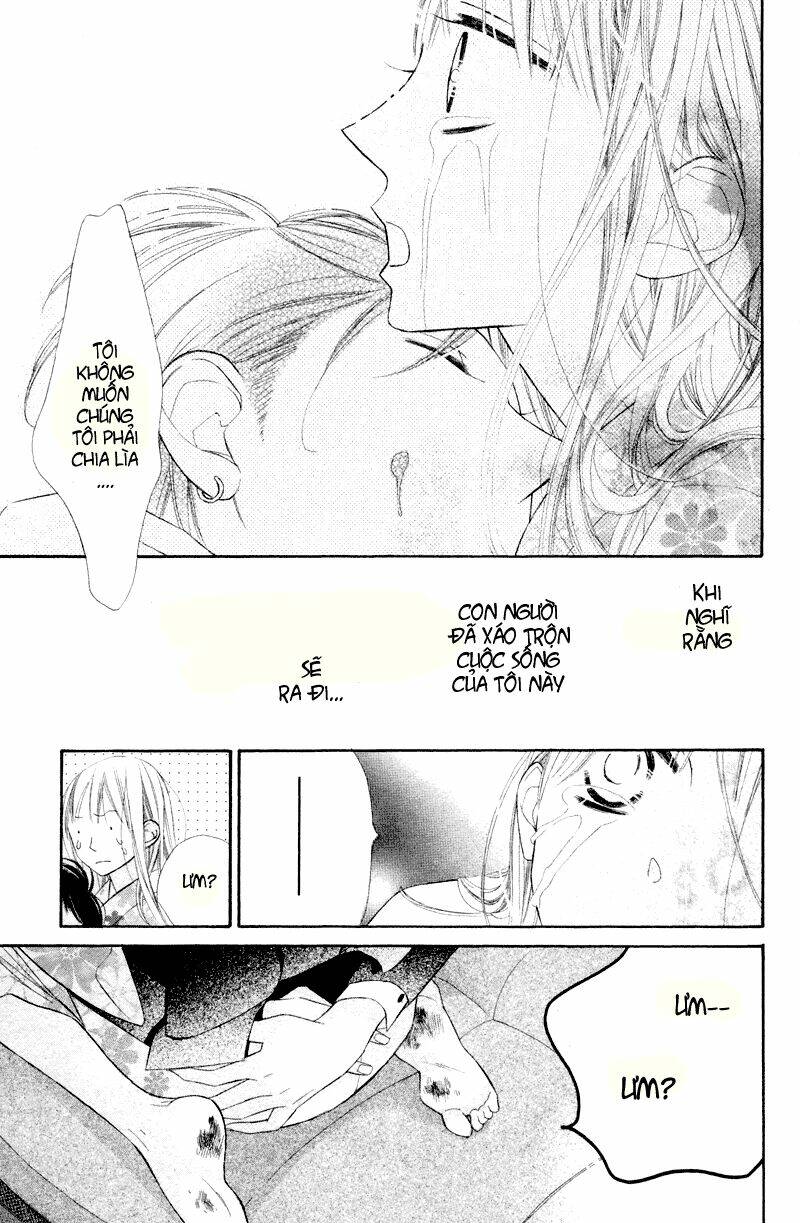 Hoa Trong Bão: Chapter 4