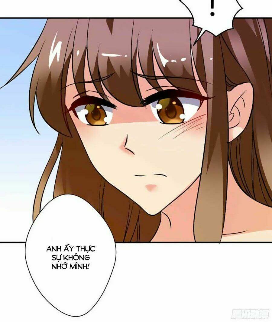 Vợ Yêu Là Báu Vật: Chapter 11