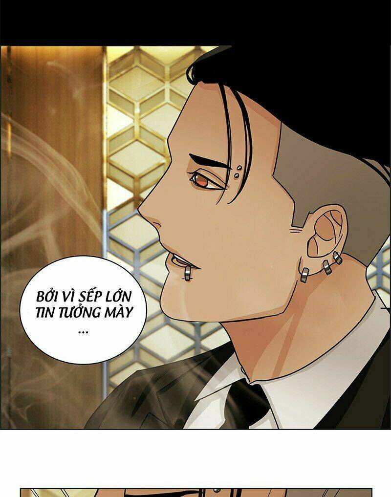 Nửa Đêm Ở Poppy Land: Chapter 6