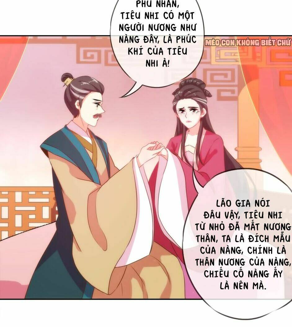 Ồ, Sủng Phi Đại Nhân Của Ta: Chapter 2