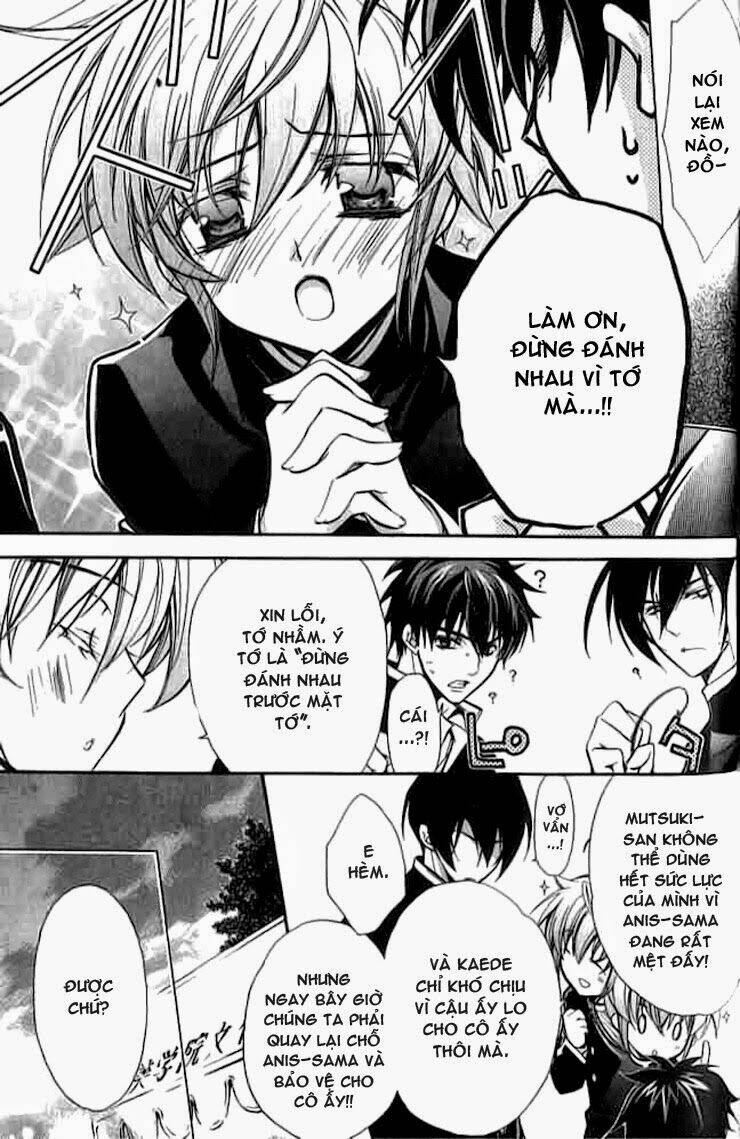 Nụ Hôn Của Công Chúa Tường Vi: Chapter 5