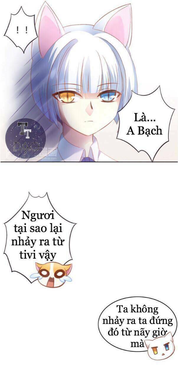 Dưới Móng Vuốt Mèo: Chapter 4