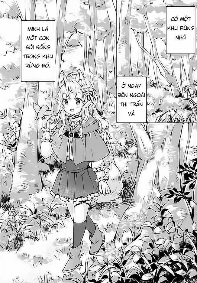 The Wolf Of The Small Forest: Chapter 2