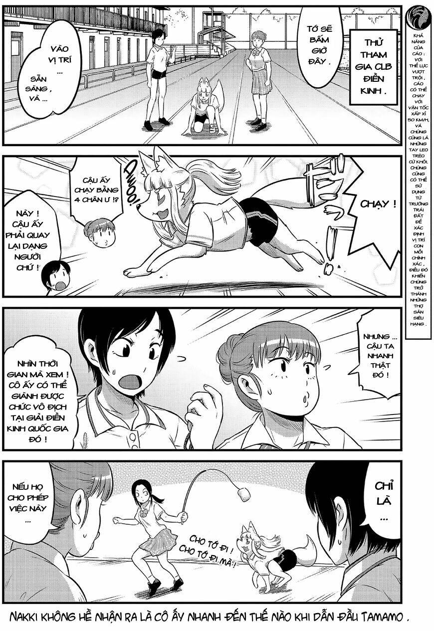 High School Inari Tamamo-Chan: Chapter 12