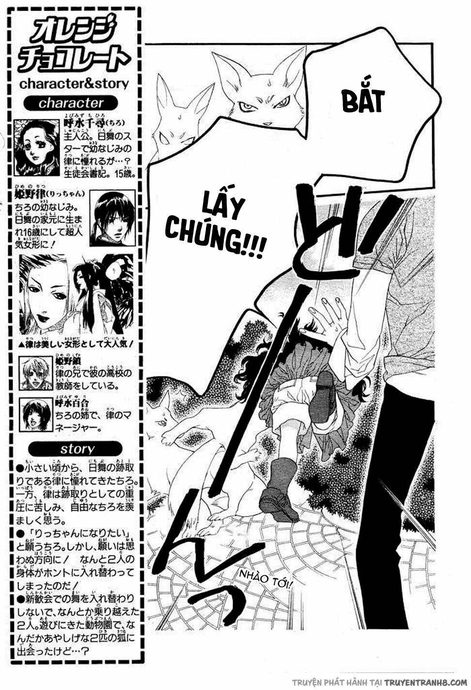 Orange Chocolate: Chapter 8