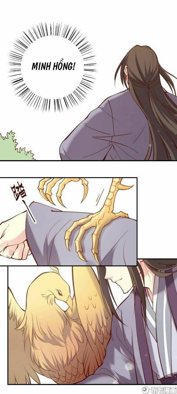 Yến Sơn Phái Và Bách Hoa Môn: Chapter 182