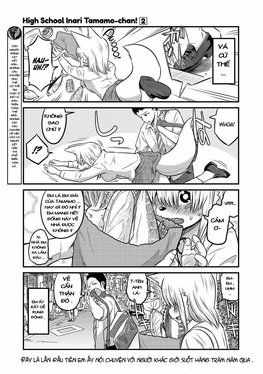 High School Inari Tamamo-Chan: Chapter 19