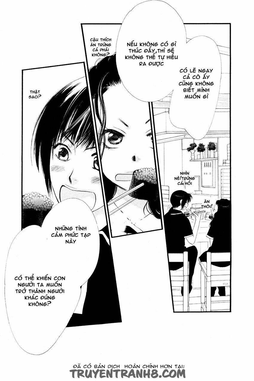 Orange Chocolate: Chapter 14